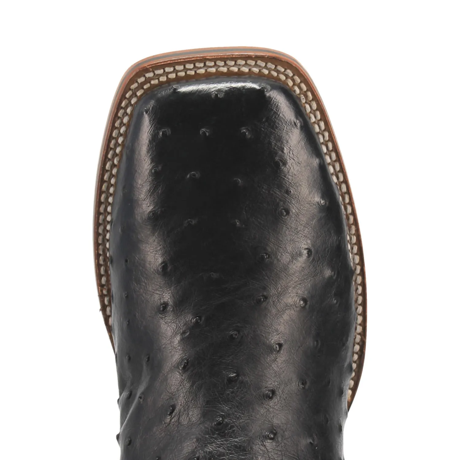 Dan Post DP4873 11" Alamosa Black Full Quill Ostrich Wide Square Toe Boot (SHOP IN-STORES TOO)